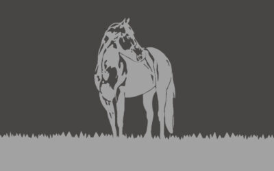 El Ray «Un Caballo Leyenda»